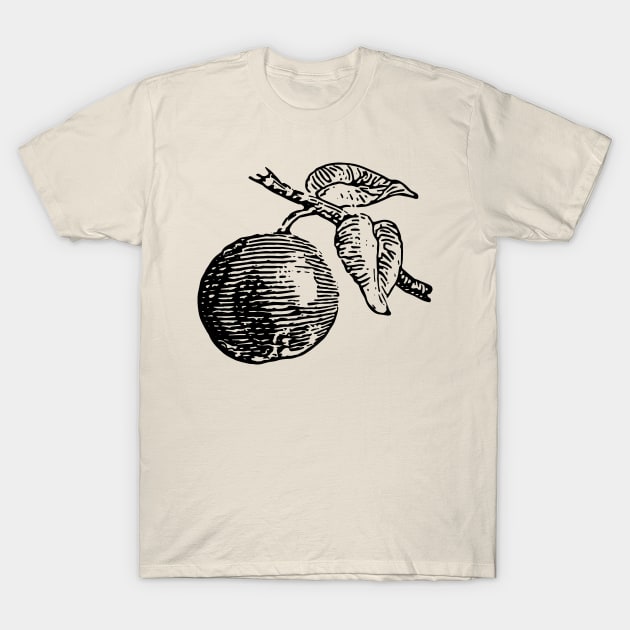 Vintage Drawing of Fruit on a Branch T-Shirt by penandinkdesign@hotmail.com